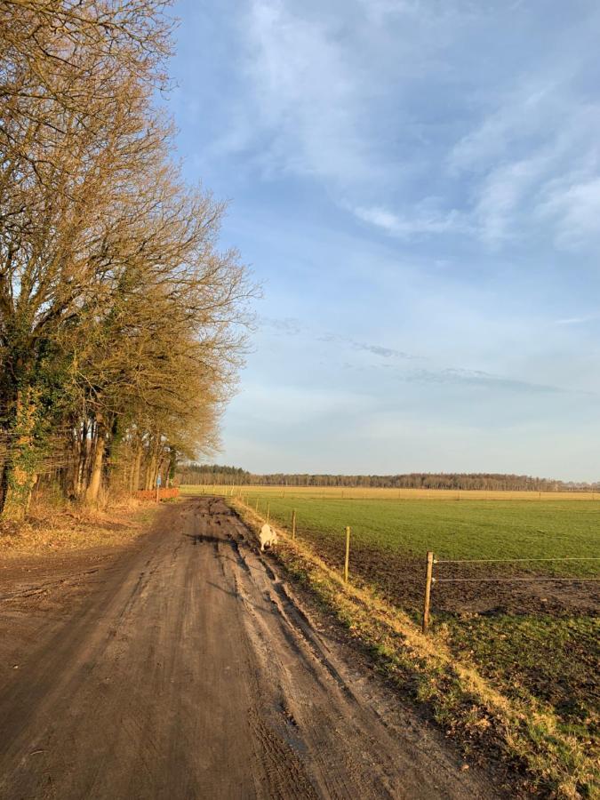 'T Holten Huus - Puur Genieten In Het Bos. 노크 외부 사진