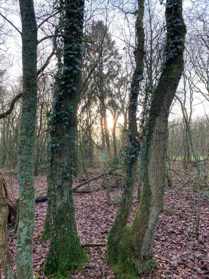 'T Holten Huus - Puur Genieten In Het Bos. 노크 외부 사진